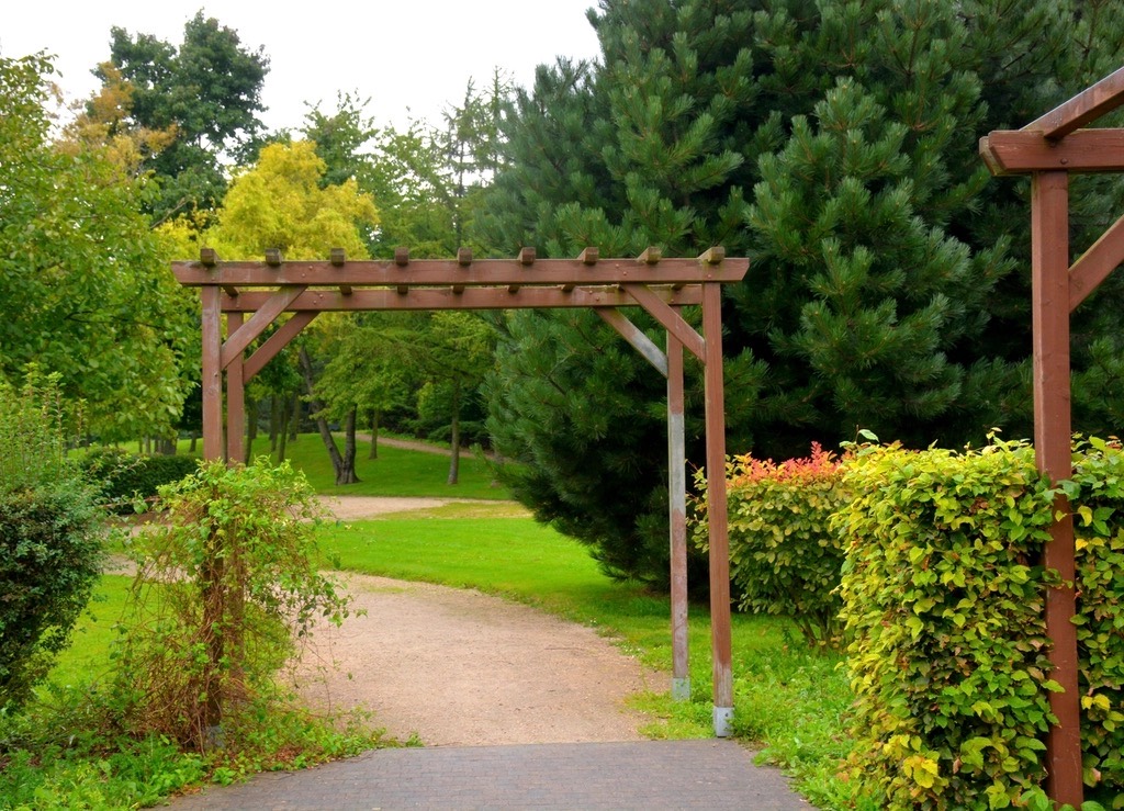 Cedar pergola framing a curved gravel walk between clipped hedges and tall pines