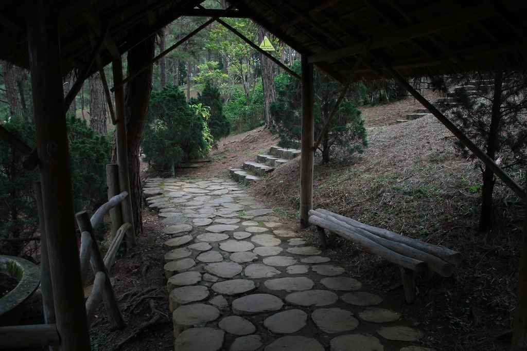 Timber-roofed walkway over a path of round stepping stones, with a log bench and steps climbing into pines
