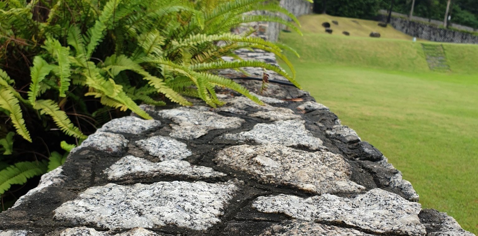 Low wall of fitted granite stones running along a lawn, with ferns spilling over its top
