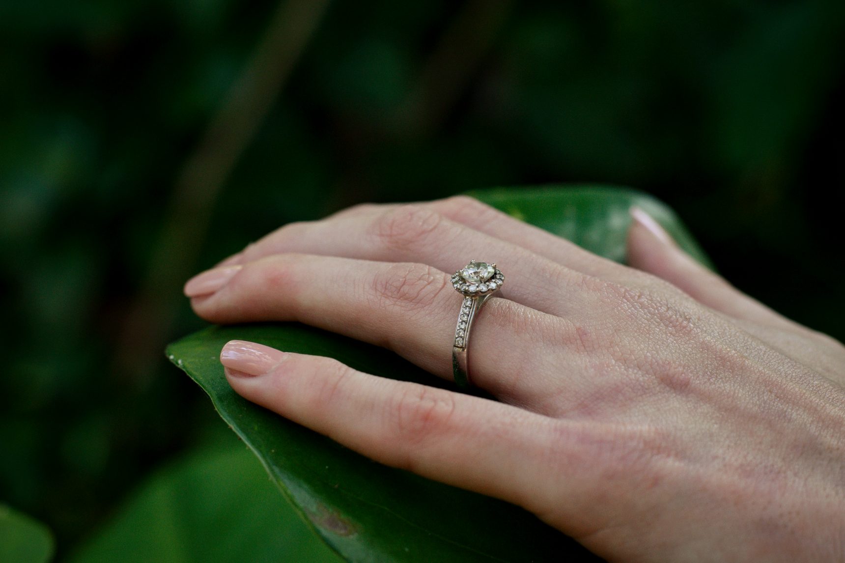 A hand resting on a dark leaf, wearing a diamond halo engagement ring