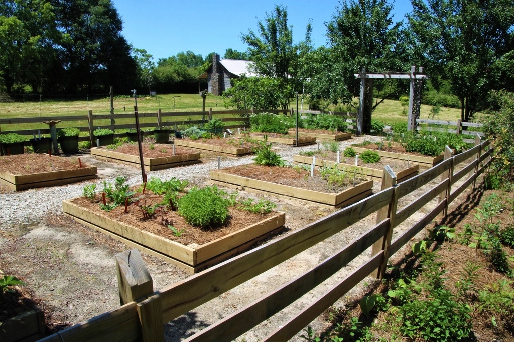 Eight timber raised vegetable beds on a gravel path, edged by a split-rail fence