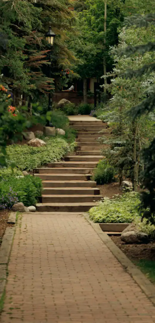 Timber garden steps climbing through ferns, hostas and evergreens